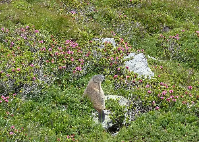 Hotel Gletscherblick